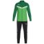 Afbeeldingen van Polyesterpak Iconic zachtgroen/sportgreen